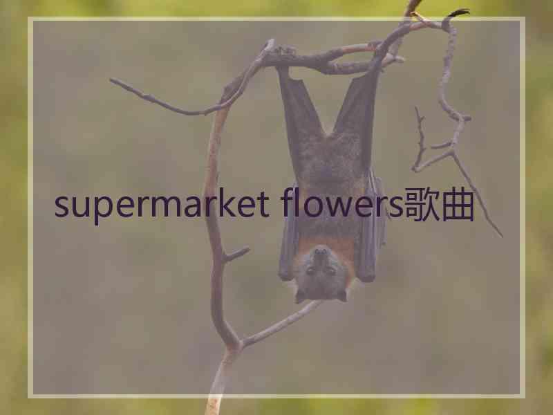 supermarket flowers歌曲