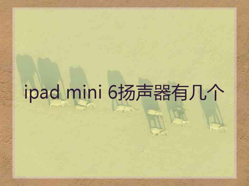 ipad mini 6扬声器有几个