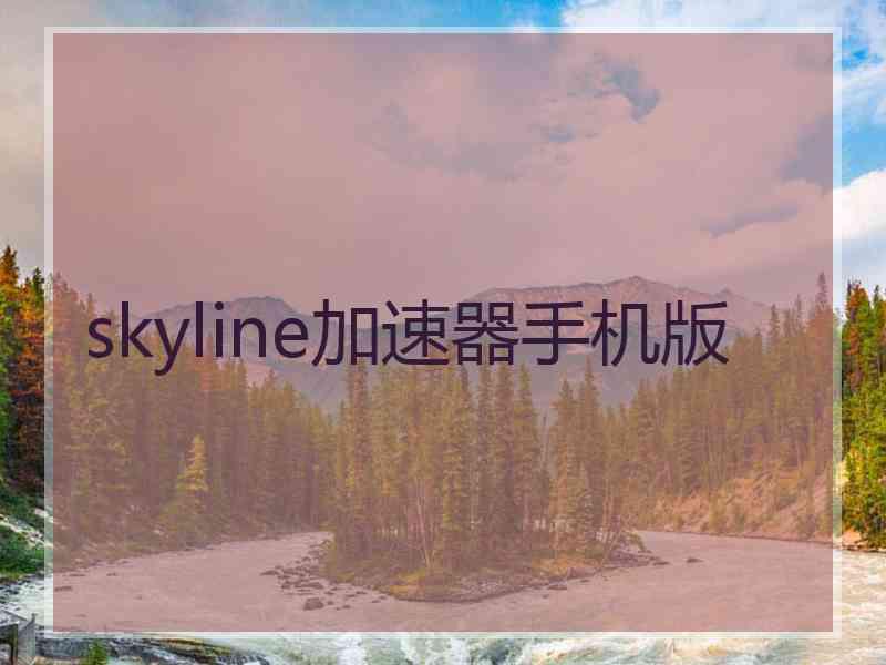 skyline加速器手机版