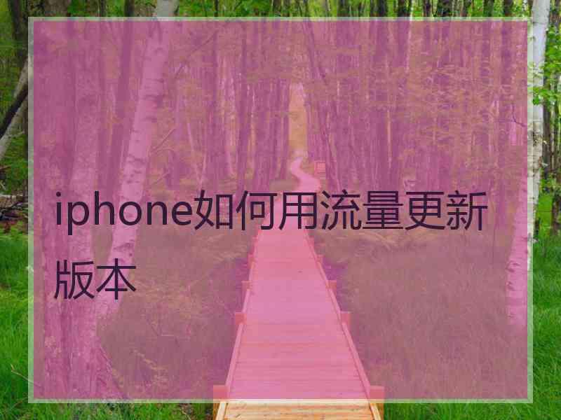 iphone如何用流量更新版本