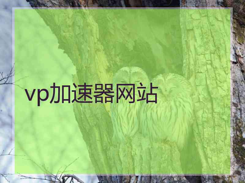 vp加速器网站