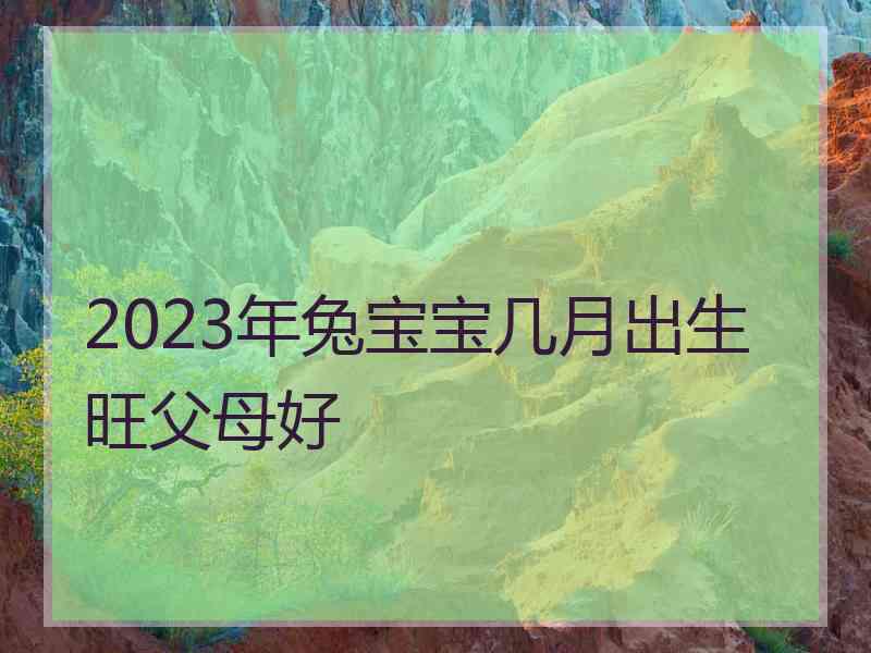 2023年兔宝宝几月出生旺父母好