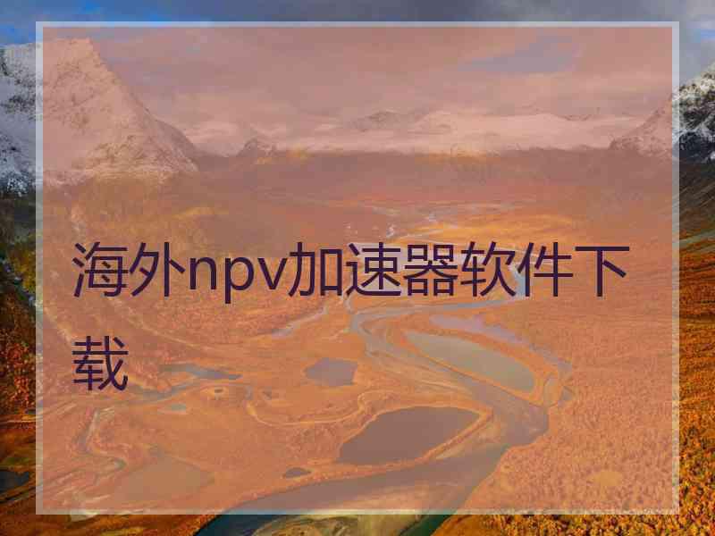 海外npv加速器软件下载