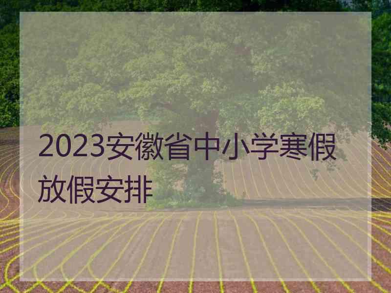 2023安徽省中小学寒假放假安排