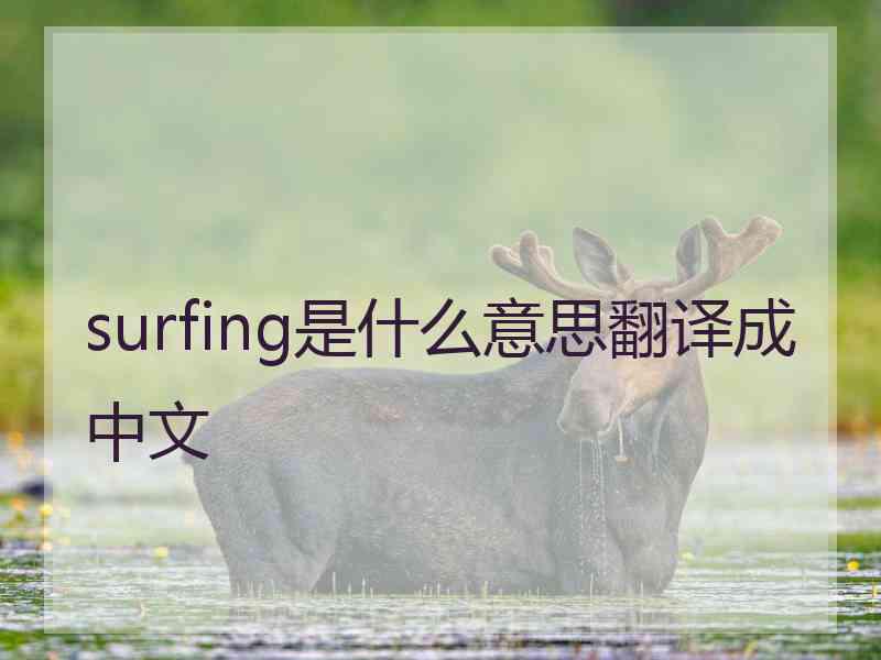 surfing是什么意思翻译成中文