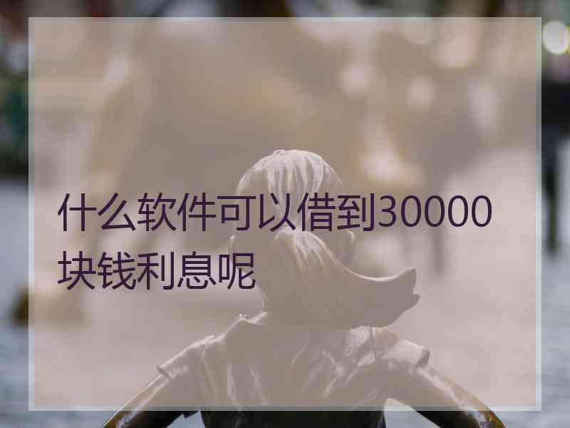 什么软件可以借到30000块钱利息呢