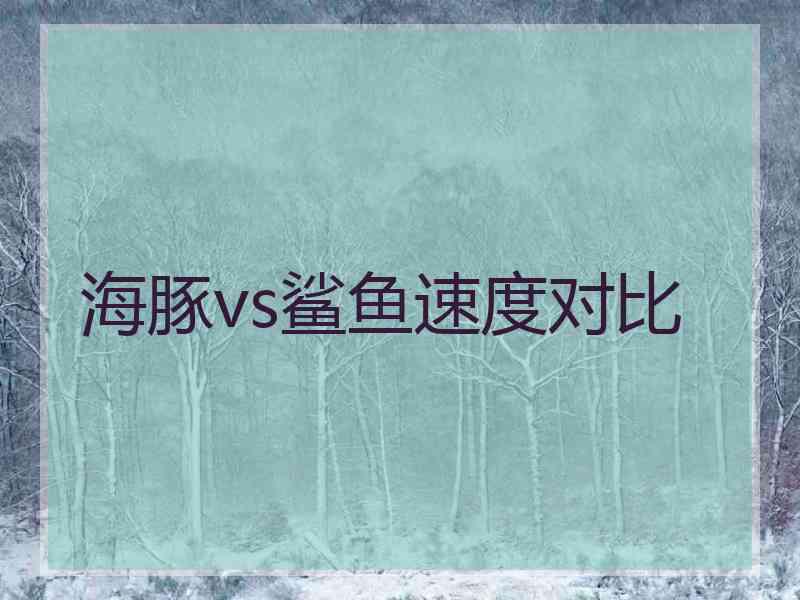 海豚vs鲨鱼速度对比