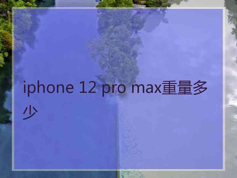 iphone 12 pro max重量多少