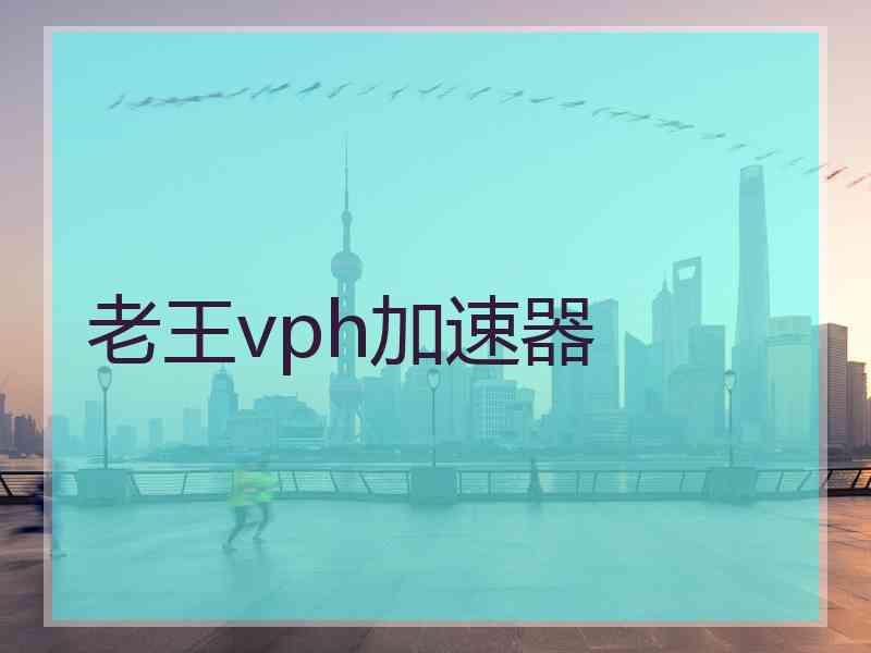 老王vph加速器