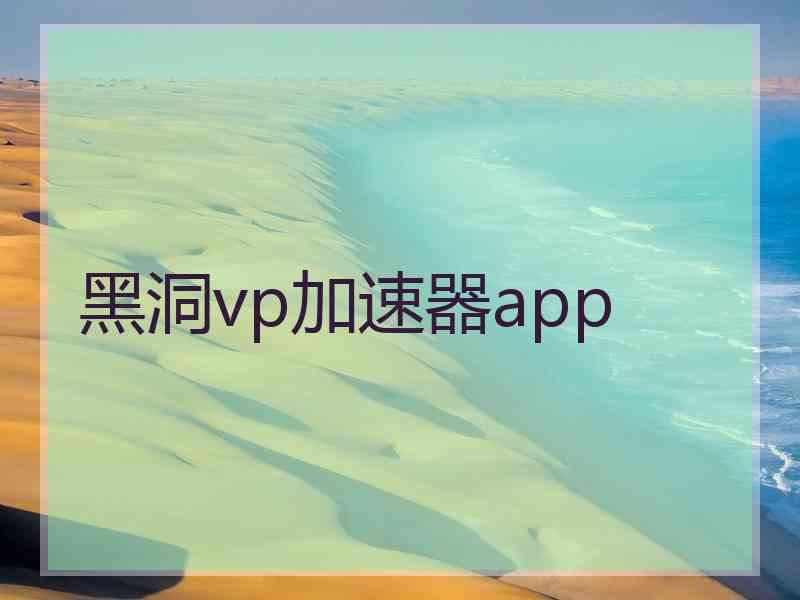 黑洞vp加速器app