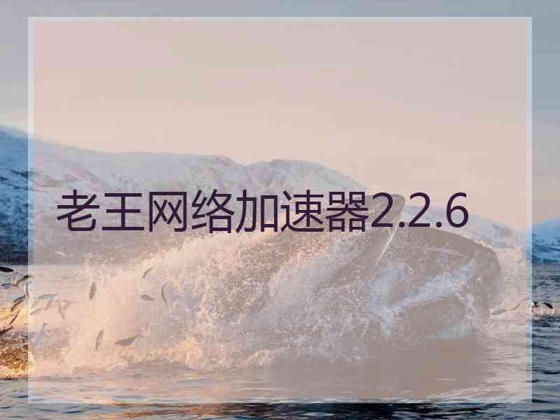 老王网络加速器2.2.6