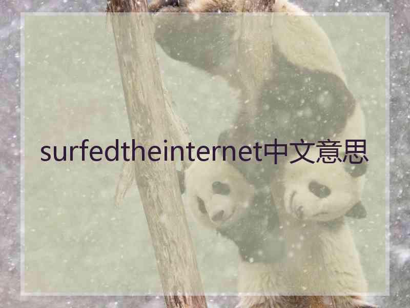 surfedtheinternet中文意思