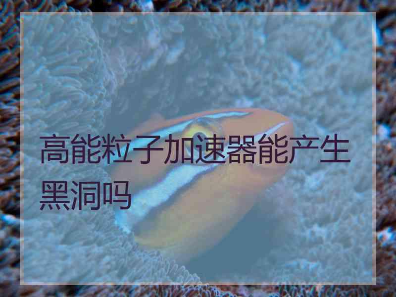 高能粒子加速器能产生黑洞吗