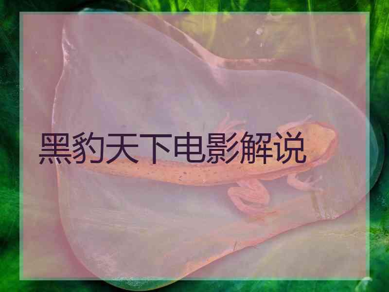 黑豹天下电影解说