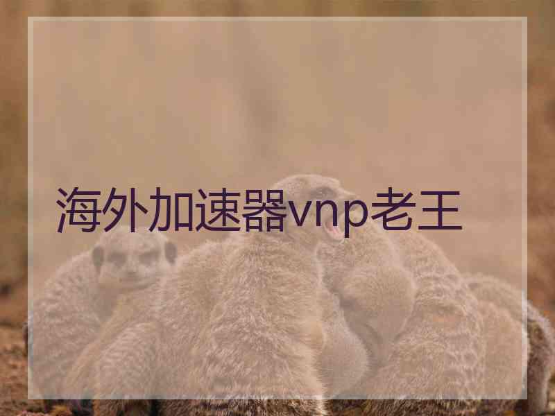 海外加速器vnp老王