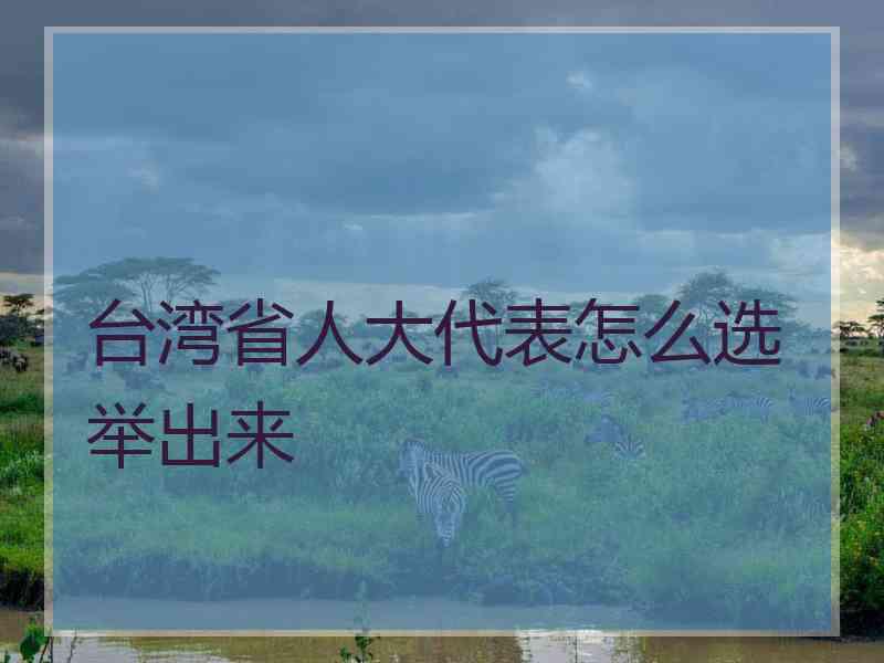 台湾省人大代表怎么选举出来