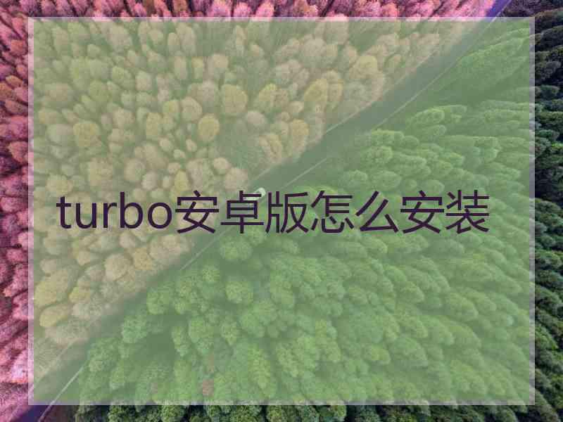 turbo安卓版怎么安装