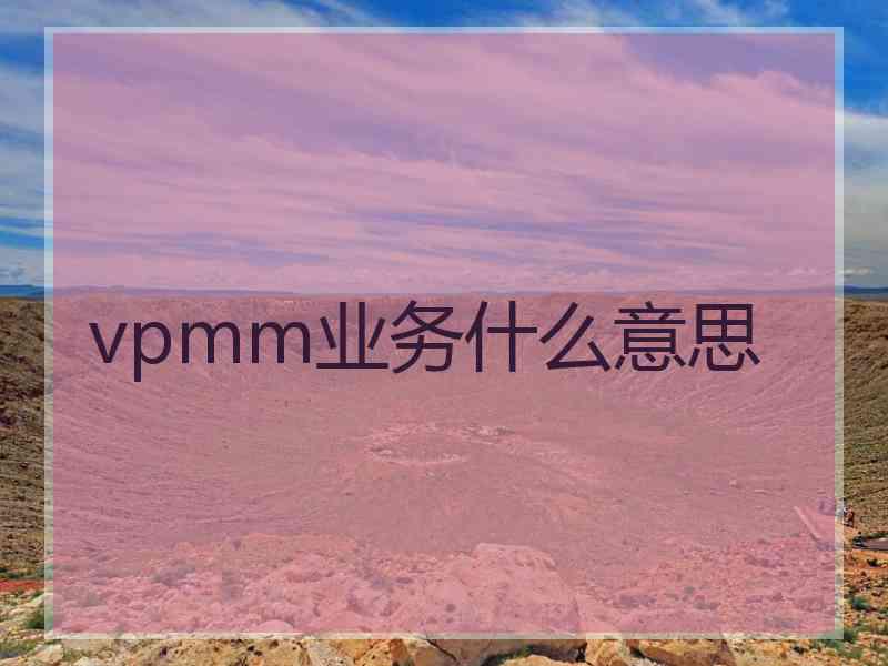 vpmm业务什么意思