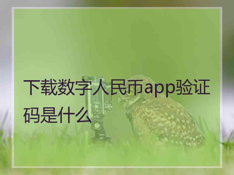 下载数字人民币app验证码是什么