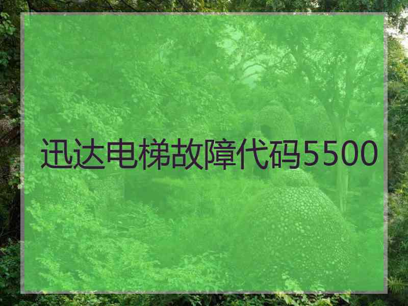 迅达电梯故障代码5500