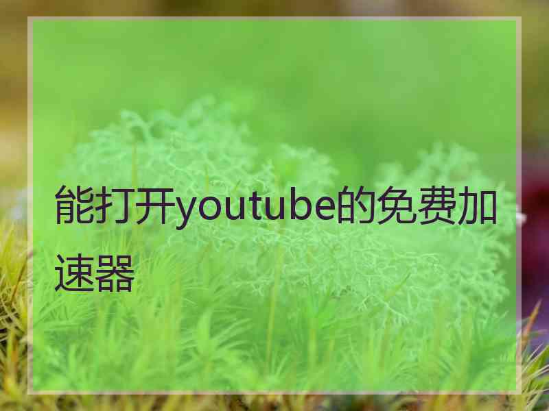 能打开youtube的免费加速器