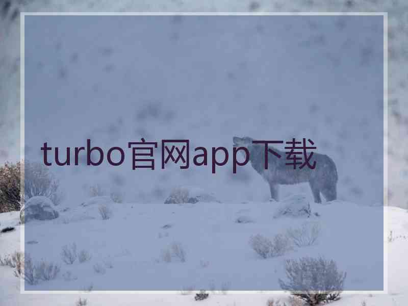 turbo官网app下载