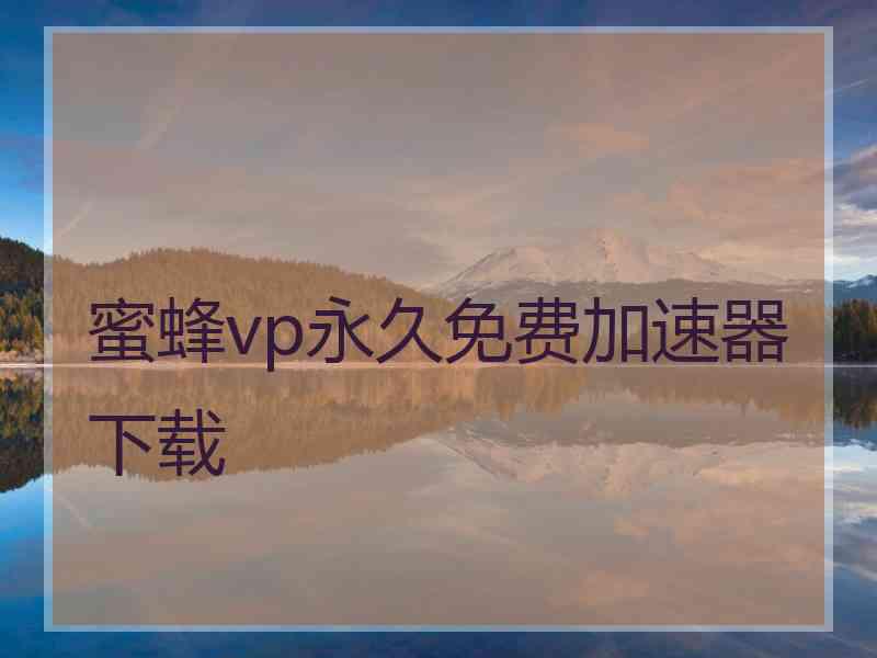 蜜蜂vp永久免费加速器下载