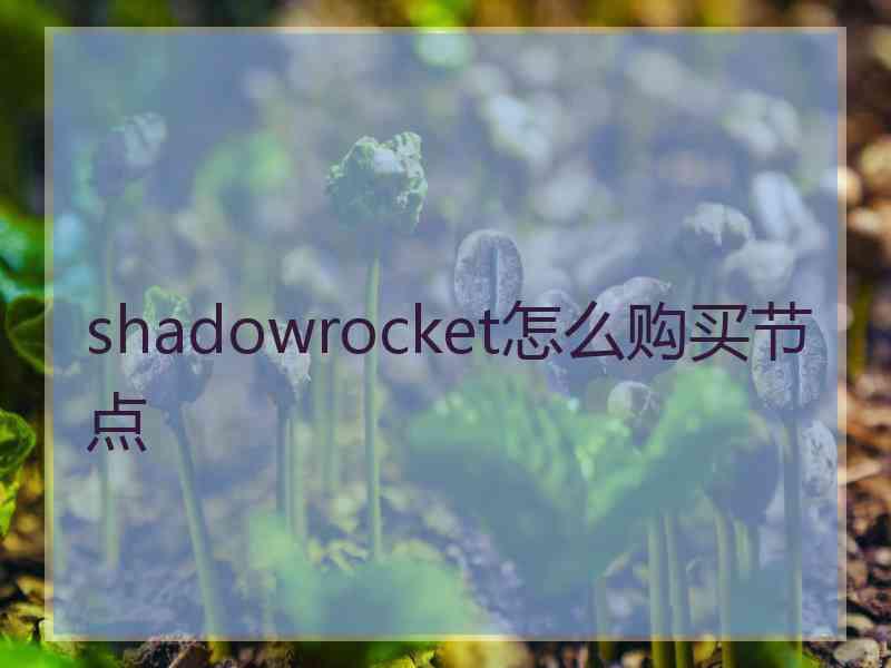 shadowrocket怎么购买节点