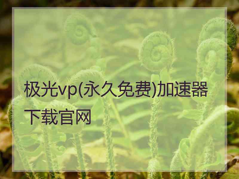 极光vp(永久免费)加速器下载官网