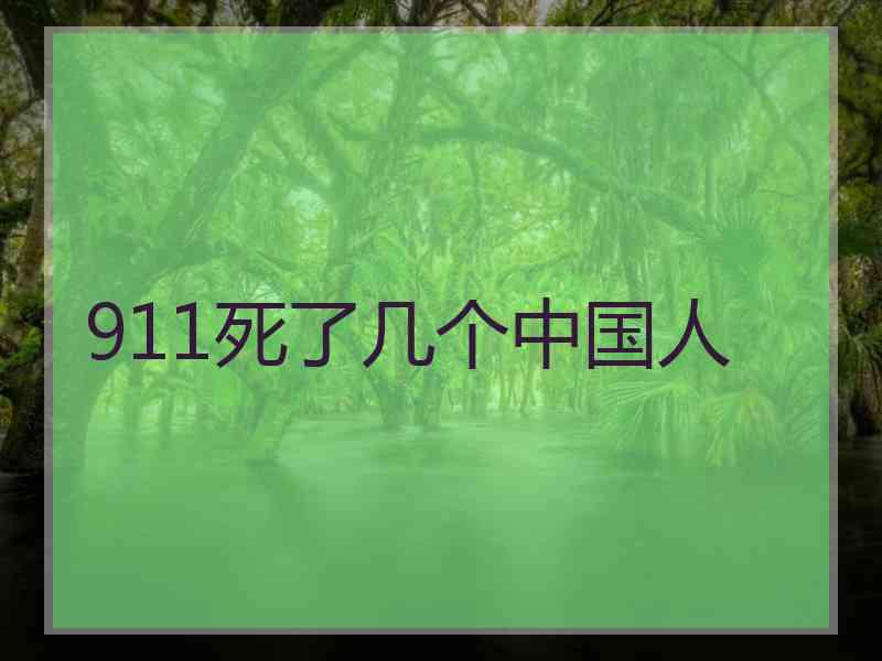 911死了几个中国人