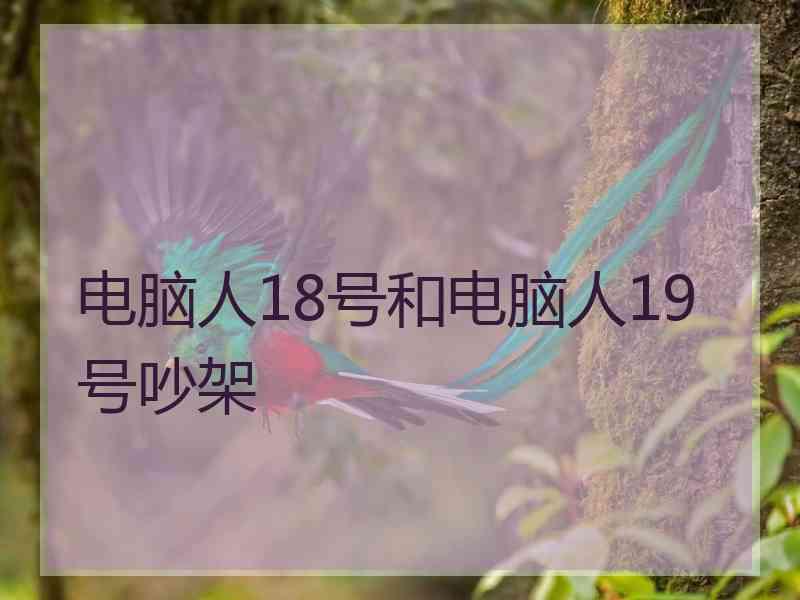 电脑人18号和电脑人19号吵架