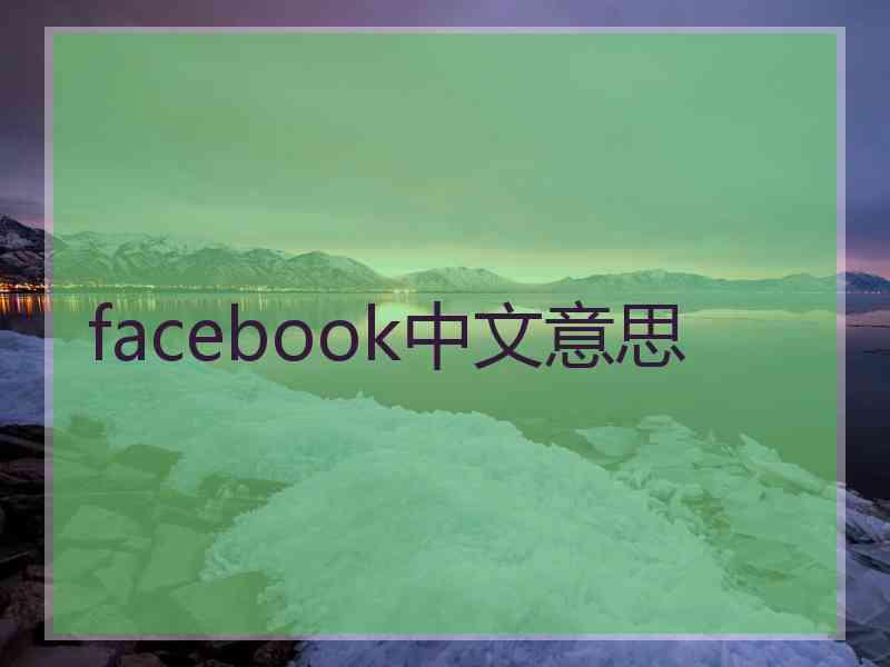 facebook中文意思