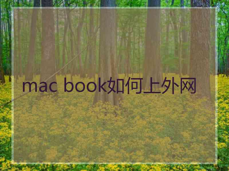 mac book如何上外网