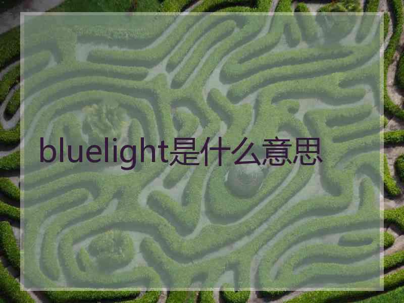 bluelight是什么意思