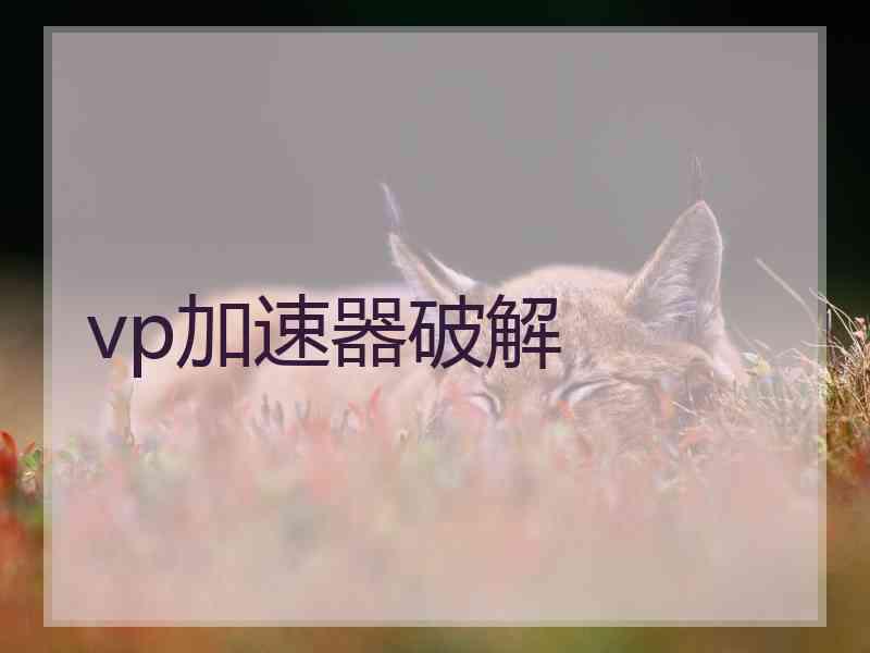 vp加速器破解