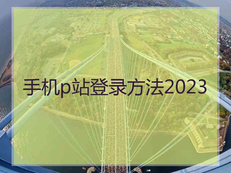 手机p站登录方法2023