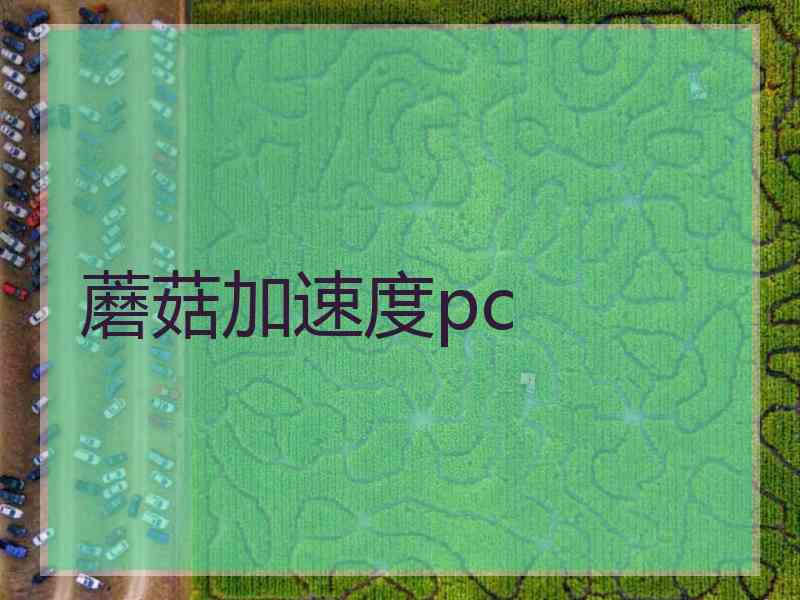 蘑菇加速度pc