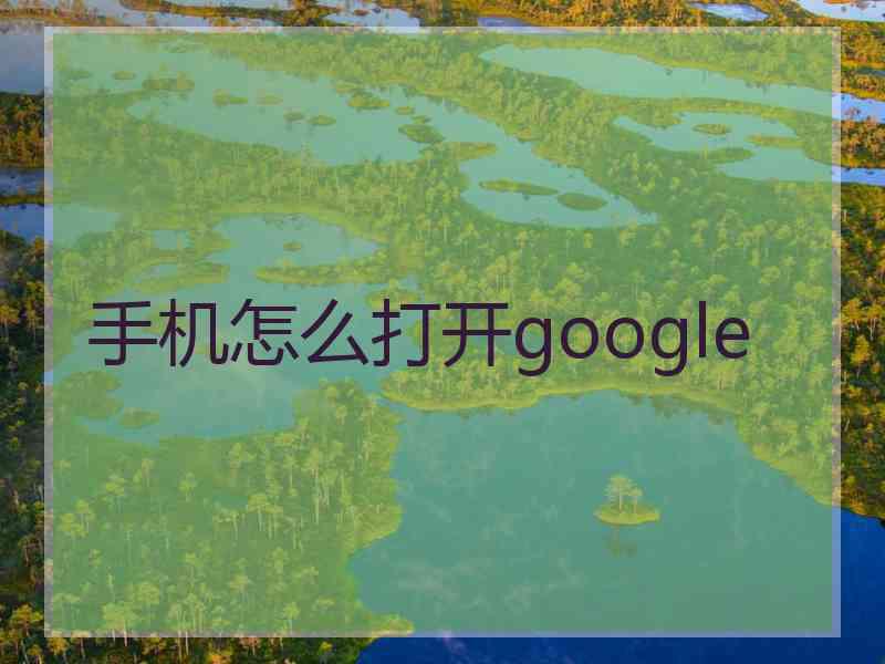 手机怎么打开google