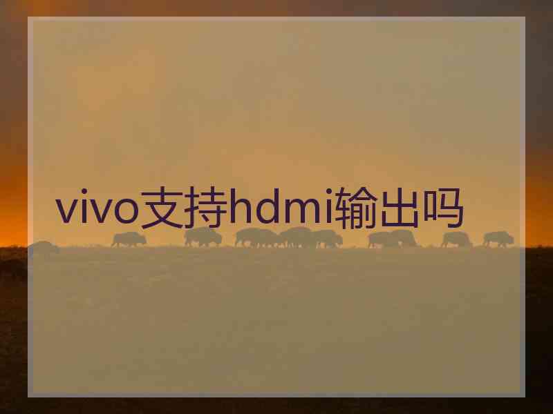 vivo支持hdmi输出吗