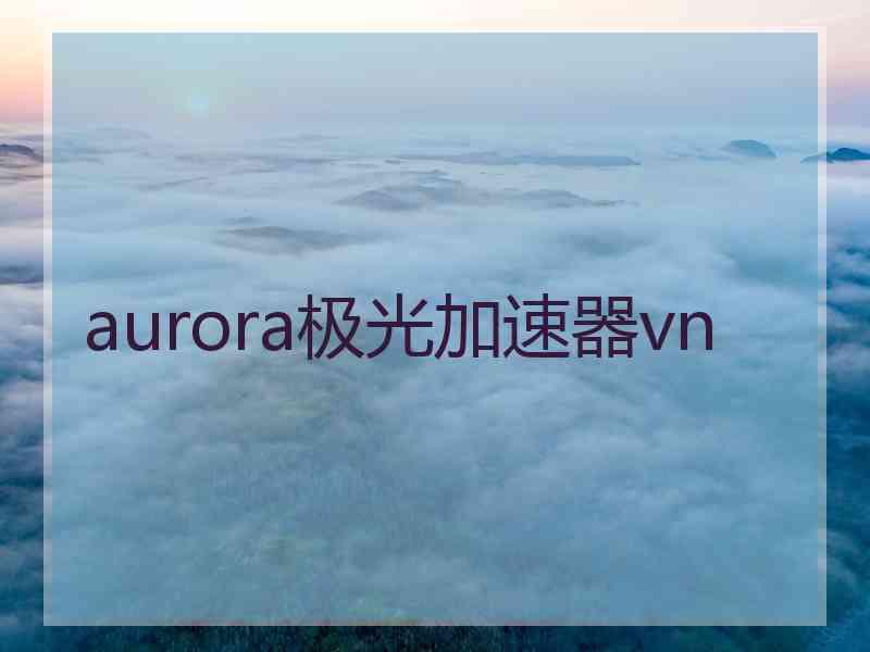 aurora极光加速器vn