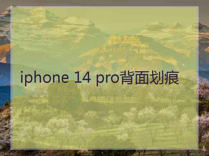 iphone 14 pro背面划痕