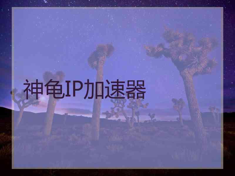 神龟IP加速器