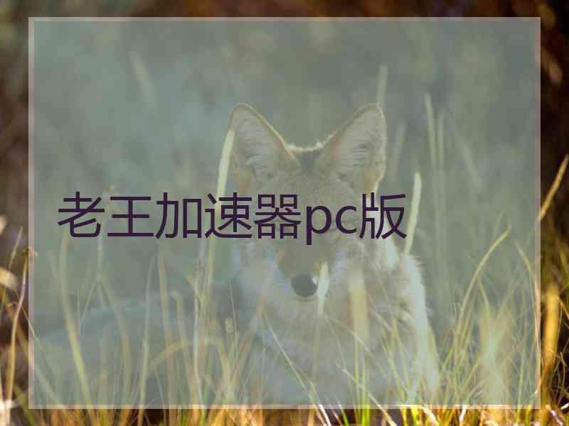 老王加速器pc版