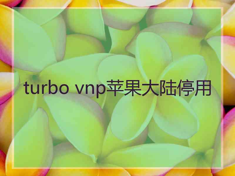 turbo vnp苹果大陆停用