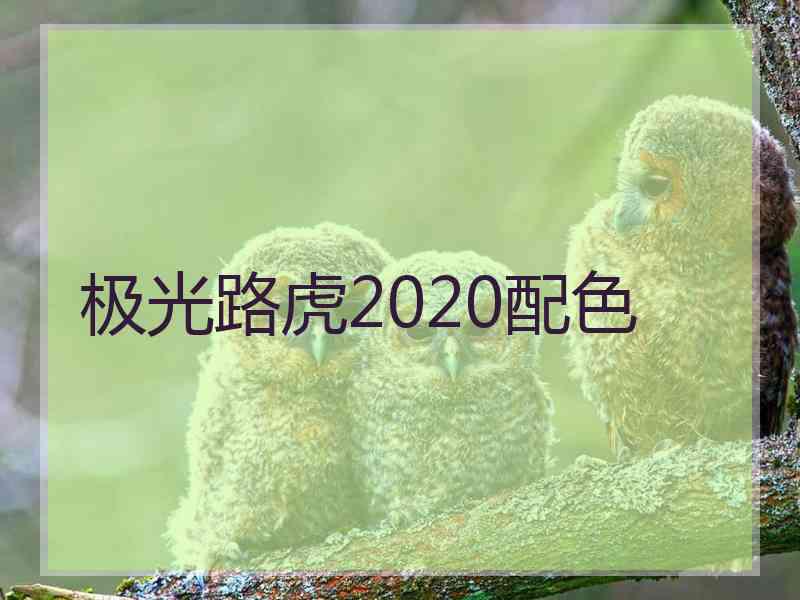 极光路虎2020配色