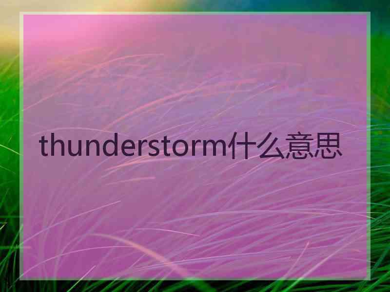 thunderstorm什么意思