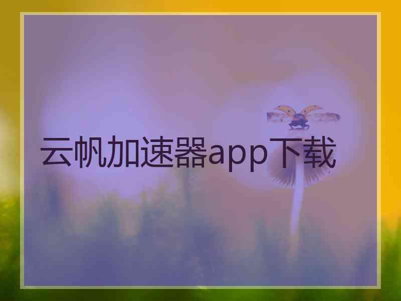 云帆加速器app下载