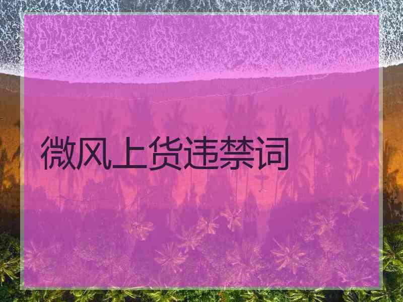 微风上货违禁词