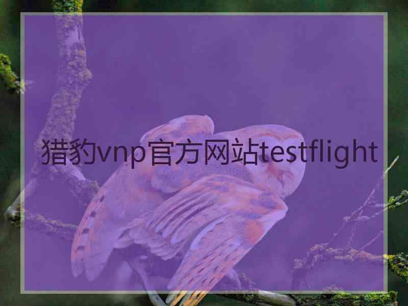 猎豹vnp官方网站testflight