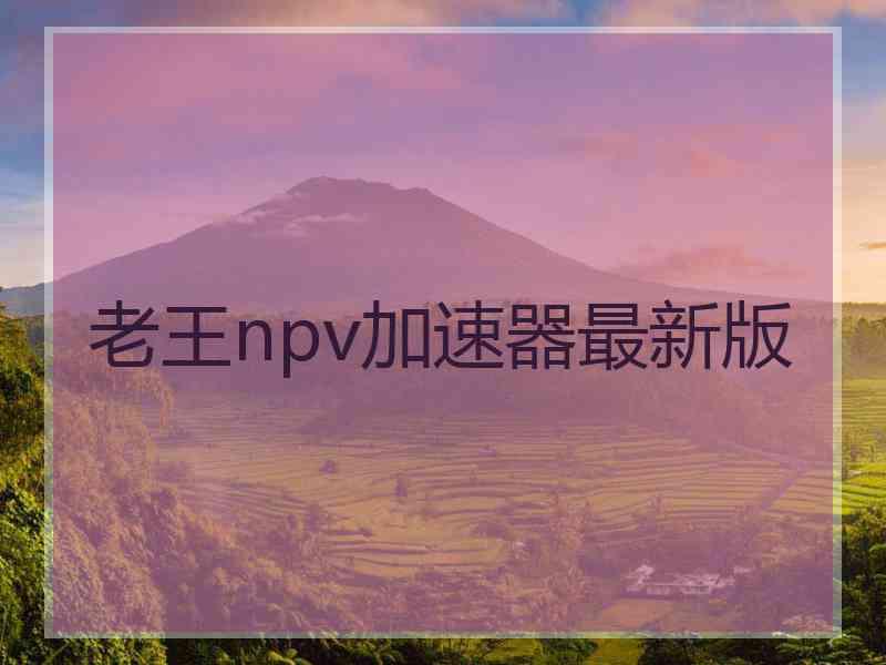 老王npv加速器最新版